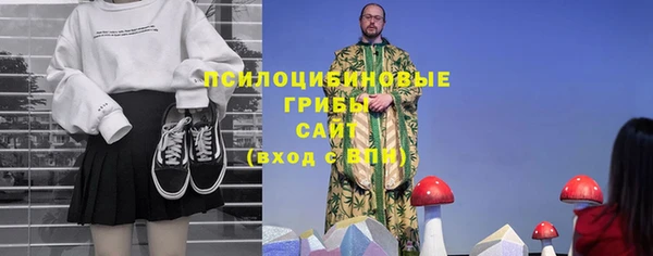 сатива Аксай